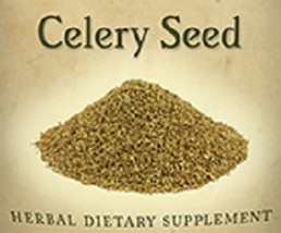 CELERY SEED - Single Herb Liquid Extract Tincture Made in the USA - $24.97+