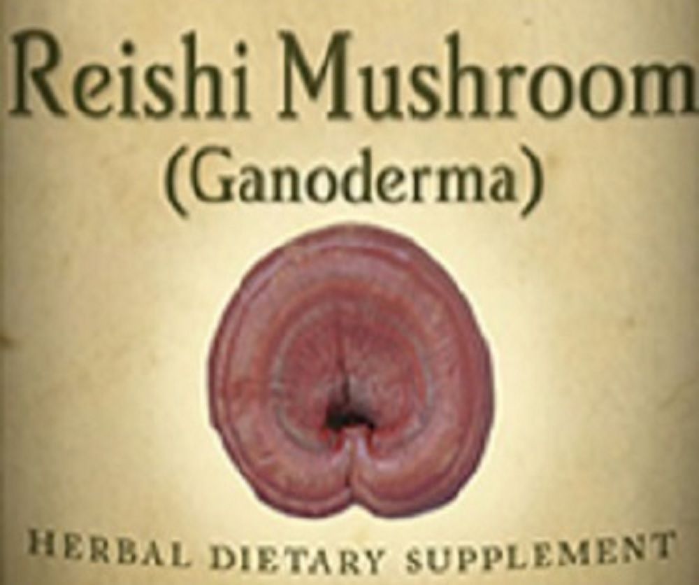 REISHI MUSHROOM - Immune & Respiratory System Support Cleansing Tonic Tincture - $34.97 - $36.97