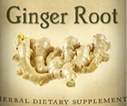 GINGER ROOT - Indigestion Nausea Circulation & Immune Support Herbal Tincture - $24.97+