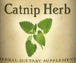 Catnip Herb Single Herb Liquid Extract Tincture Made In Usa - $24.97+