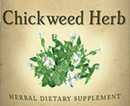 Chickweed Herb - Skin, Digestion & Urinary Tract Support Tincture Usa - $24.97+