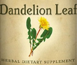 DANDELION LEAF - Circulatory &amp; Digestive Support Diuretic Tincture USA - £18.76 GBP+