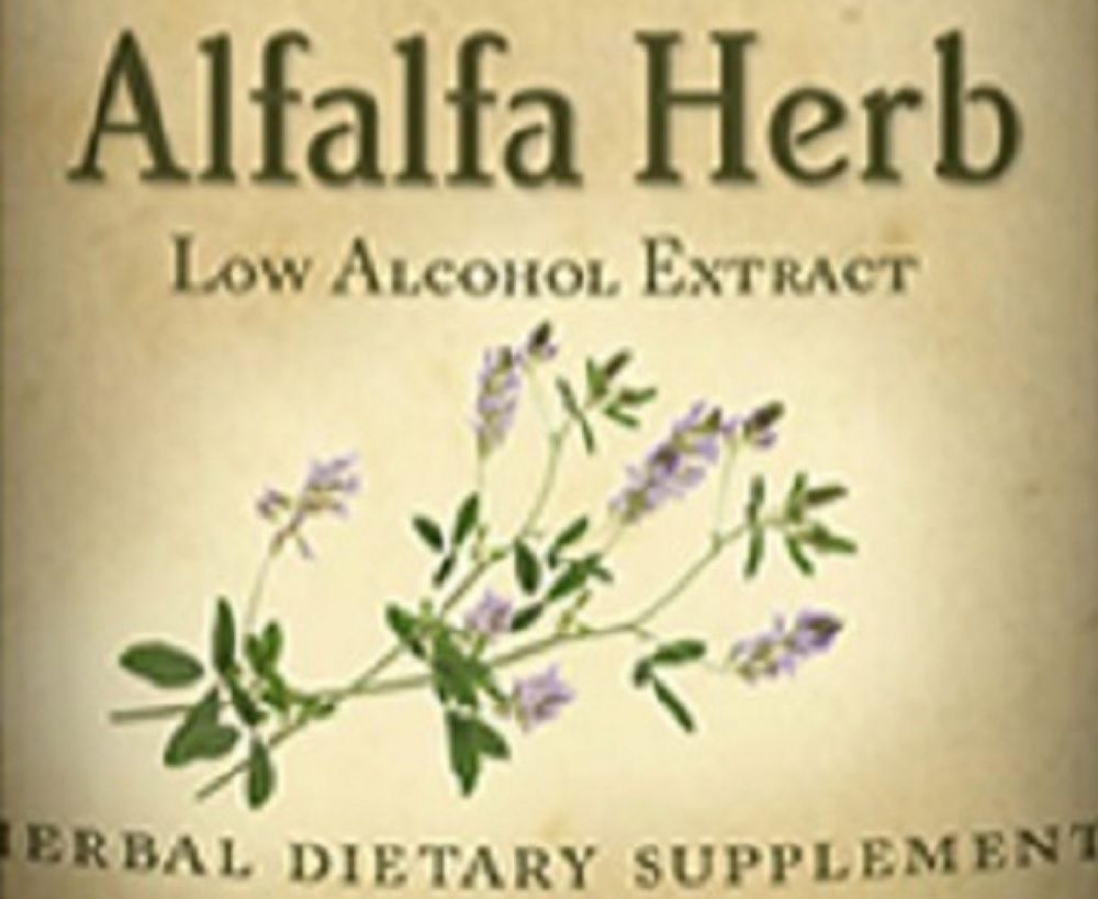 ALFALFA HERB Single Herb Liquid Extract Organic Herbal Tincture Made in USA - $24.97