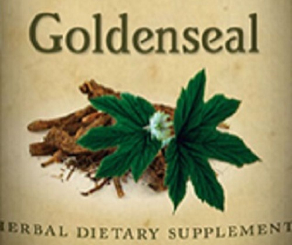 GOLDENSEAL - Natural Antibiotic Digestion & Immune System Support Tincture USA - $24.97 - $39.97