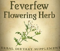 FEVERFEW FLOWERING HERB Single Herbal Liquid Extract Tincture for Natual... - $24.97+
