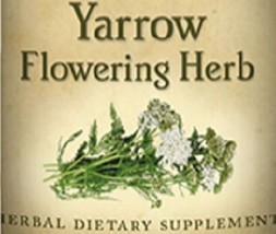 YARROW HERB - Healthy Immune System &amp; Digestive Tract Support Tincture USA - $24.97+