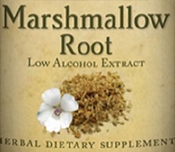 MARSHMALLOW ROOT - Digestive Respiratory &amp; Urinary Tract Support Tinctur... - $24.97+