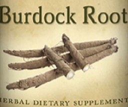 BURDOCK ROOT - Mild Cleansing Liver &amp; Lymphatic Health Support USA - £18.04 GBP+