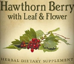 Hawthorn Berry - Healthy Heart Vein &amp; Cardiovascular Support Tincture Usa - £19.64 GBP+