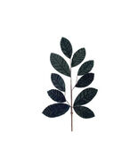 Forest Green Leaf Spray (Set of 6) - 339859 - $54.82