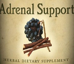 Adrenal Support - Herbal Energy & Endocrine Support Blend Liquid Tincture Usa - $22.97+