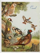 Cunard Menu R M S Caronia 1960 British Game &amp; Woodland Birds Cover Basil... - $37.62