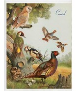Cunard Menu R M S Caronia 1960 British Game &amp; Woodland Birds Cover Basil... - £29.59 GBP