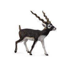 CollectA Blackbuck Figure (Large) - £28.30 GBP