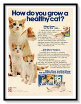 Cat Chow Kitty Food Print Ad Vintage 1983 Magazine Advertisement Orange Tabby - £7.75 GBP