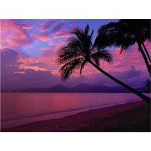 5D Diamond Painting Kits Coconut Tree, Full Drill Colorful Sunset Coast ... - $13.99