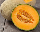 50 Iroquois Melon Seeds Non-Gmo Fast Shipping - $8.99