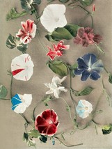 12316.Room Wall Poster.Kazumasa Japanese decor art.Hand-colored photo.Flowers - £13.05 GBP+