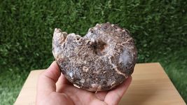 Item image 12