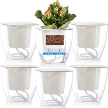 Lyellfe 6 Pack Plastic Self Watering Pots, 4 Inch Clear African Violet, Orchid - £27.64 GBP