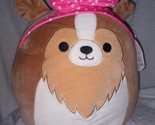 Squishmallows  Andres the Sheltie Dog 12&quot; NWT - $28.59