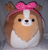 Squishmallows  Andres the Sheltie Dog 12&quot; NWT - £22.40 GBP
