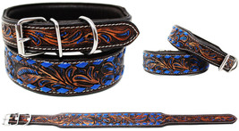 Padded Leather Dog Collar Heavy Duty Floral Tooled Dog Collar Blue 60FK25 - $48.40+