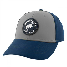 Ford Bronco Built Wild Low Profile Snapback Hat Multi-Color - $31.98