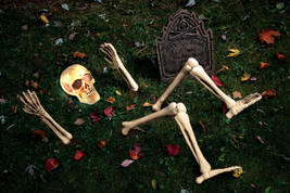 Fun World Unisex-Adults Buried Skeleton Yard Prop, Multi, Standard - £68.26 GBP