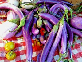 Garden Store 45 Seeds Long Purple Eggplant Seeds Organic Italian Heirloom Summer - £6.56 GBP