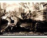 RPPC Cougar Deer Habitat Taxidermy Display Tacoma Washington WA UNP Post... - £8.64 GBP