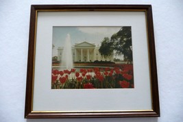 Photo White House &amp; Tulip Garden Prof Framed Matted - £20.77 GBP