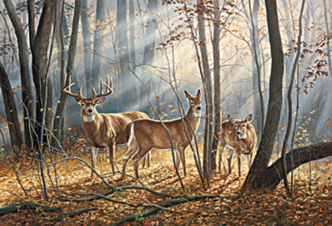 WOODLAND SPLENDOR DEER Cross Stitch Pattern***L@@K*** - $2.95