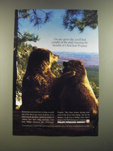 1995 Phillips Petroleum Ad - On any given day, you&#39;ll find couples at the park  - £14.53 GBP