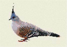 Pepita Needlepoint kit: Pigeon, 10&quot; x 7&quot; - £39.31 GBP+