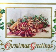 Christmas Postcard Embossed Pug Dog And Puppies Original Antique Unused Vintage - £25.88 GBP