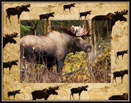 Moose Scatter Laser Engraved Wood Picture Frame Landscape (8 x 10)  - £42.26 GBP