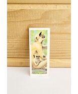 Vintage National Biscuit Co (Nabisco) Mini Trade Card 1969 S7N24 Langur - $371.27 MXN