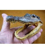 (G-Def-168) 5-1/8&quot; Deformed Gator ALLIGATOR Aligator HEAD teeth TAXIDERM... - $69.58 CAD