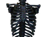 Gothic Ossuary Black Skeleton Rib Cage Torso Human Anatomy Table Lamp Wi... - $199.99