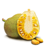 5 seed Organic Fresh Jackfruit Tropics - £13.75 GBP