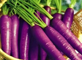 Cosmic Purple Carrot Seeds 200 Seeds Non-Gmo Fast Shipping - £6.31 GBP