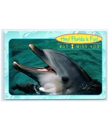 Hey Florida is Fun Dolphin But I Miss You Postcard - €6,01 EUR