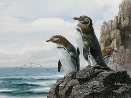 Galapagos penguins cross stitch pattern thumb200