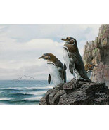 GaLapagos Penguins Cross Stitch Pattern***L@@K*** - $4.04 CAD