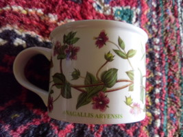 Portmeirion Botanic Garden Tea Cup - £16.07 GBP