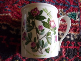 Portmeirion Botanic Garden Coffee Cup   3.5 Inches Height - £15.79 GBP