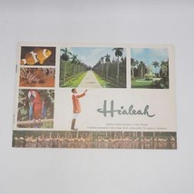 Hialeah Florida Viaje Folleto 1960&#39;s Thoroughbred Carreras de Caballos - $43.20