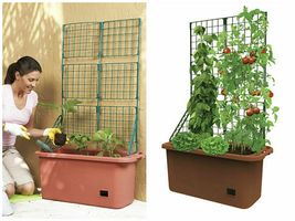 Mobile Self Watering PLANTER with TRELLIS Flowers Vegetables Tomatoes On... - $39.33