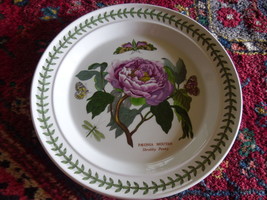 Portmeirion Botanic Garden Dinner Plate   10.5 Inches  - £39.49 GBP